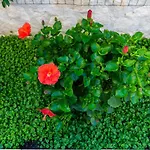 Terrazza Bonito Nocleg ze śniadaniem Neapol